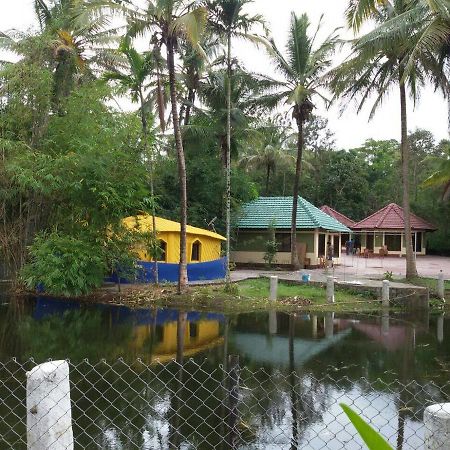Coorg Anekad Jungle Stay Kushālnagar Dış mekan fotoğraf