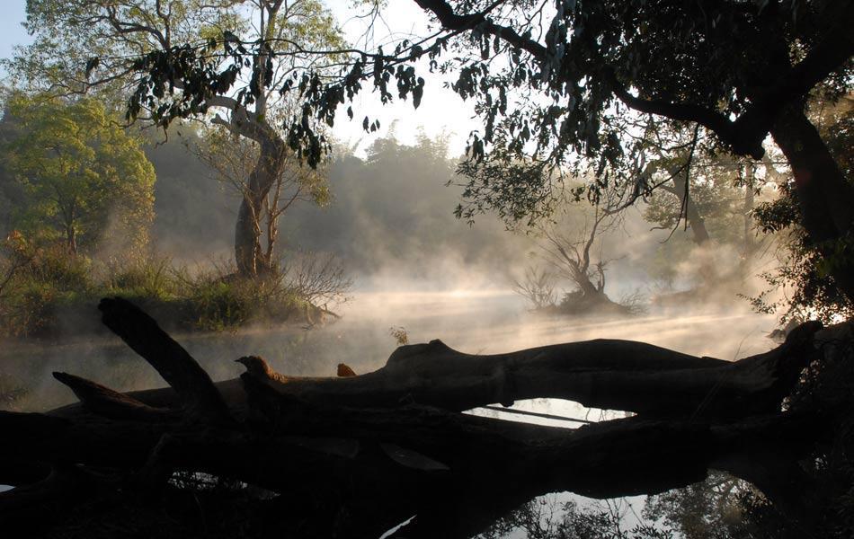 Coorg Anekad Jungle Stay Kushālnagar Dış mekan fotoğraf
