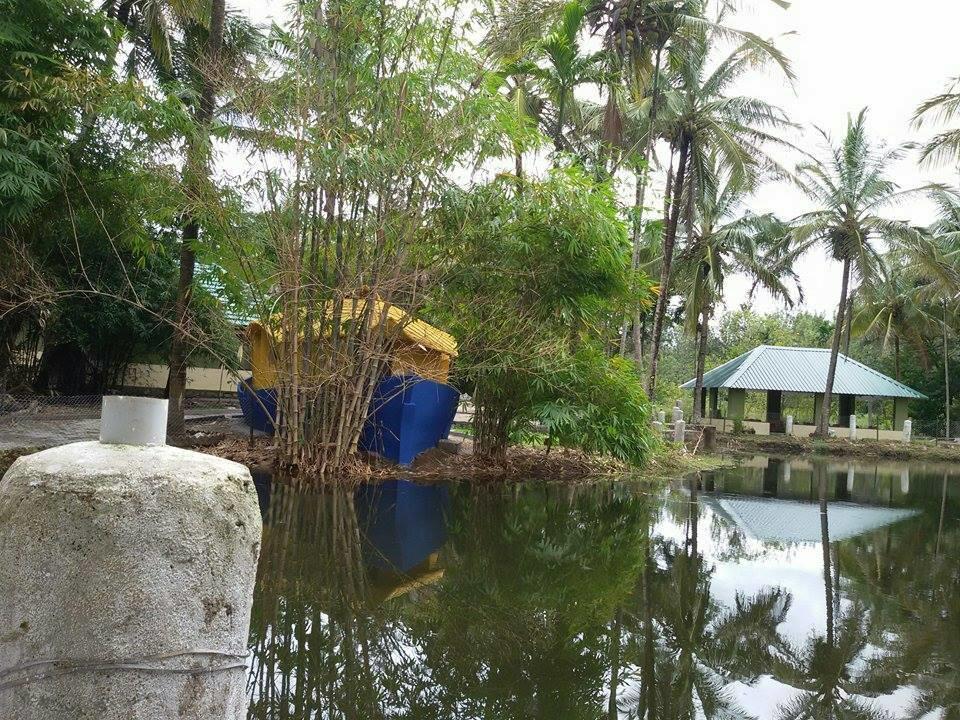 Coorg Anekad Jungle Stay Kushālnagar Dış mekan fotoğraf