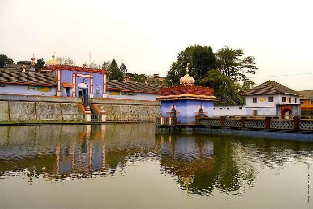 Coorg Anekad Jungle Stay Kushālnagar Dış mekan fotoğraf